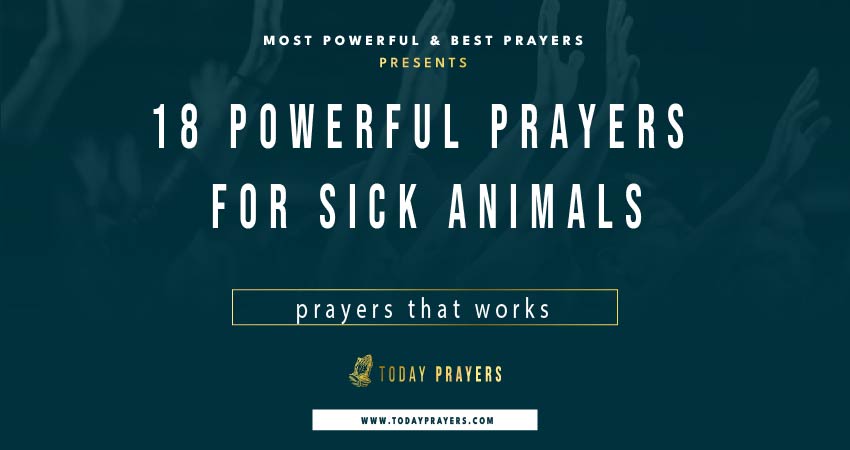 Prayers For Sick Animals