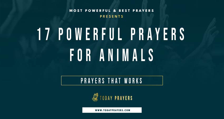 Prayers for Animals