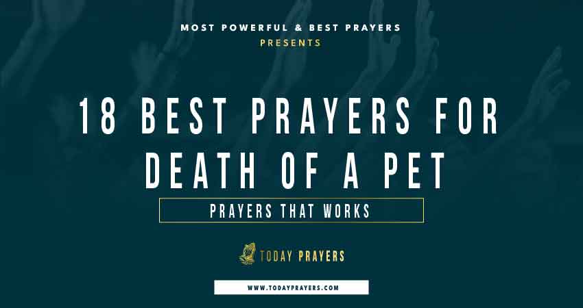 Prayers for Death of a Pet