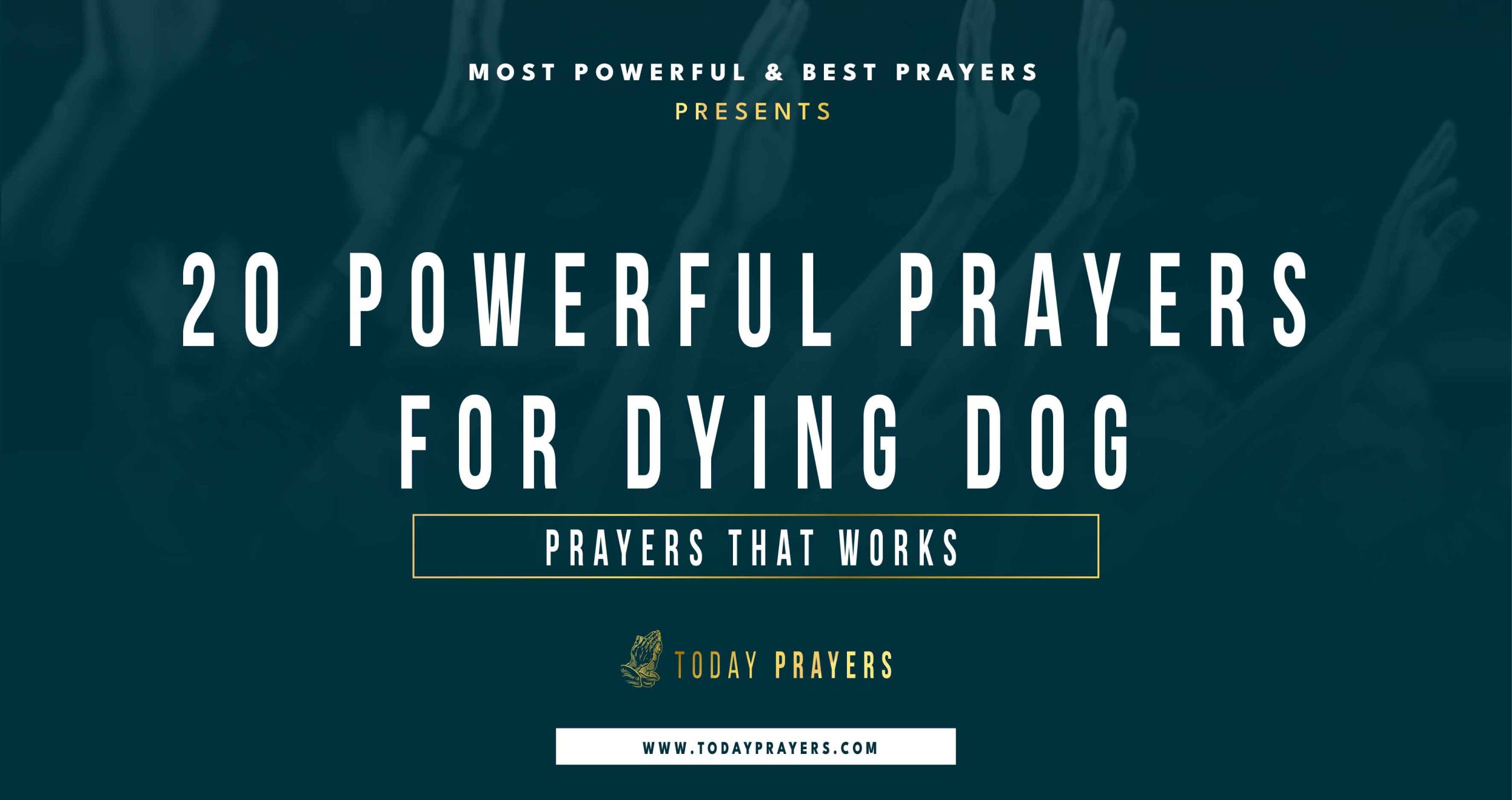Prayers for Dying Dog