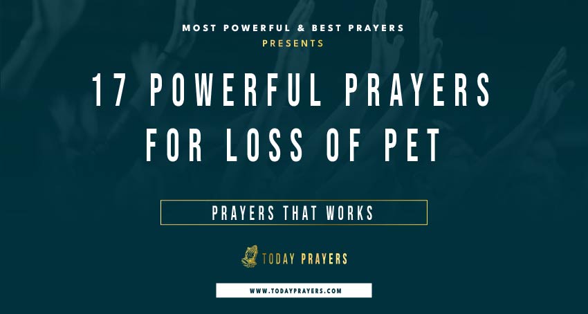 Prayers for Loss of Pet