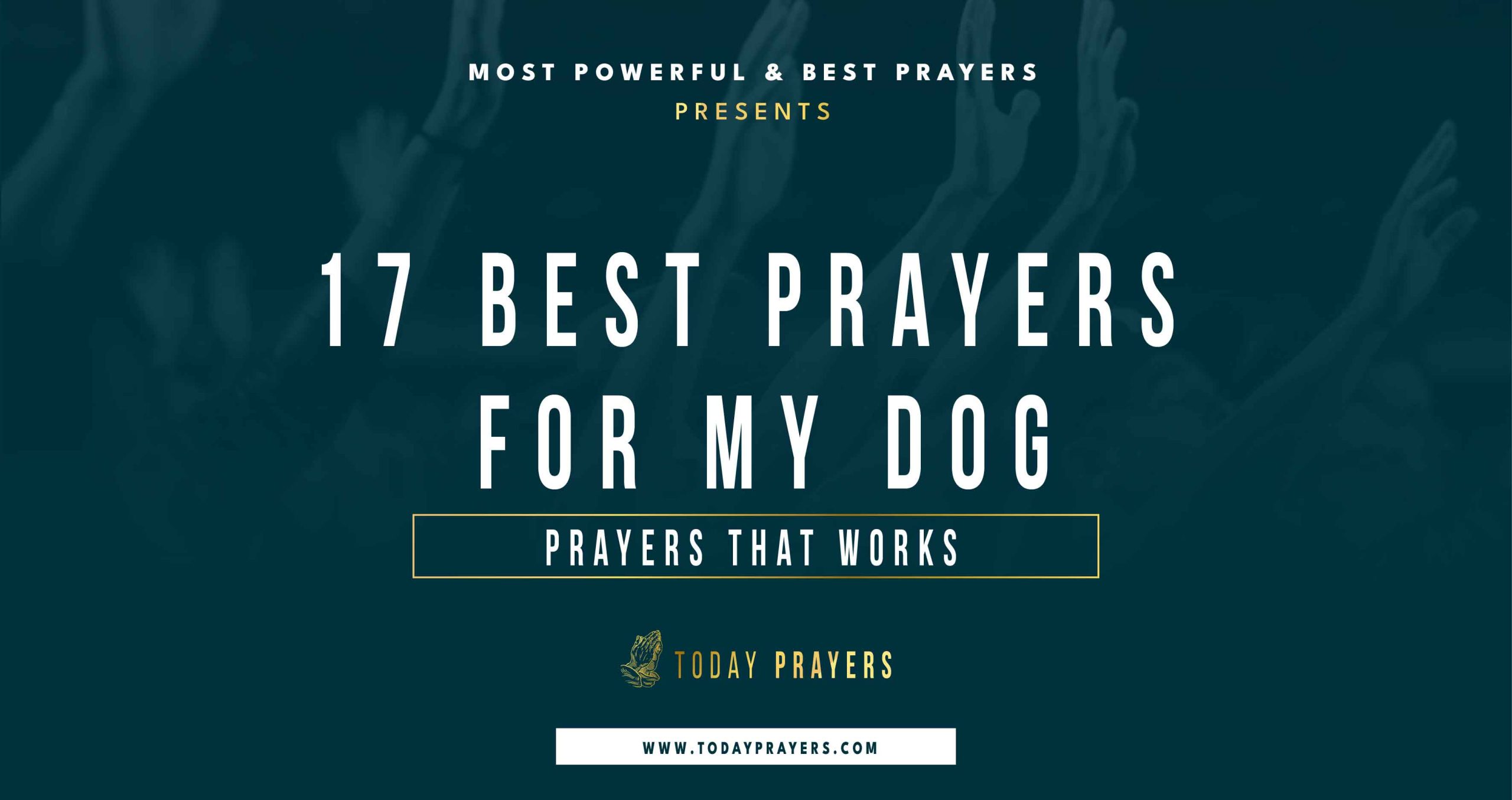 Prayers for My Dog
