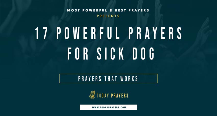 Prayers for Sick Dog