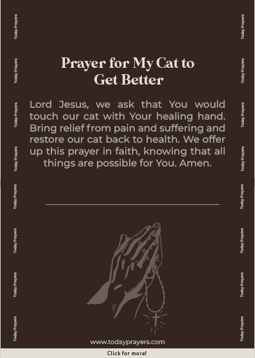 Prayer for My Cat to Get Better