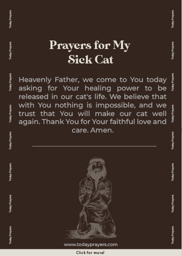 Prayers for My Sick Cat